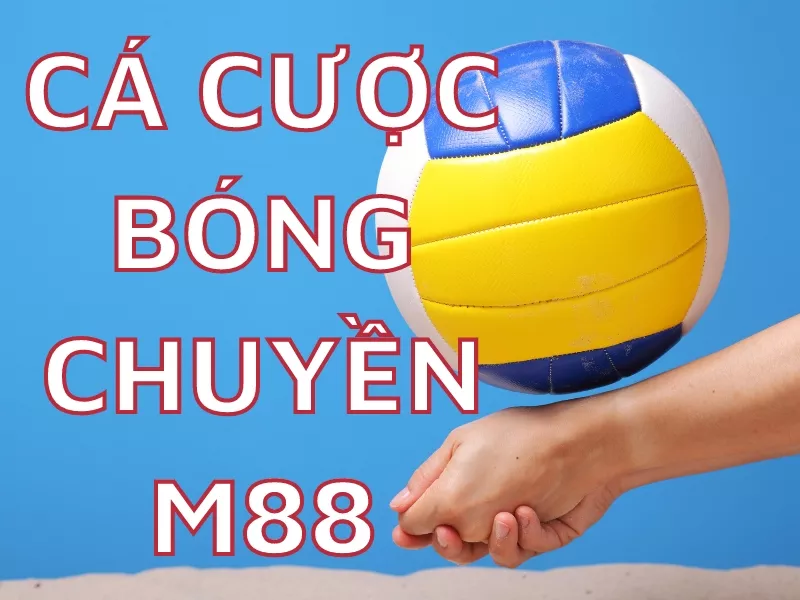 tất tần tật hướng dẫn cá cược bóng chuyền m88 chi tiết 1 cá cược bóng chuyền m88