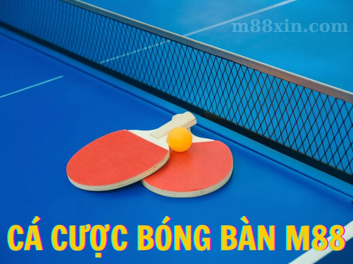 ca cuoc bong ban m88 cá cược bóng bàn m88